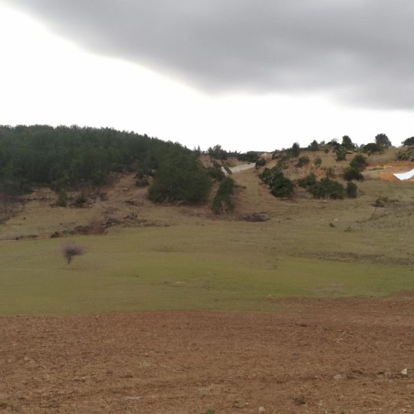 Ruyada Kurttan Kacmak