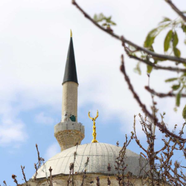 Ruyada Kustugunu Gormek Diyanet