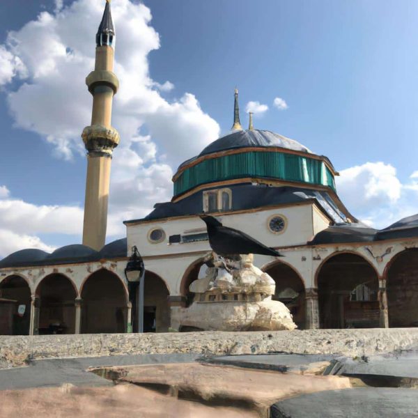 Ruyada Kusun Eline Konmasi Diyanet