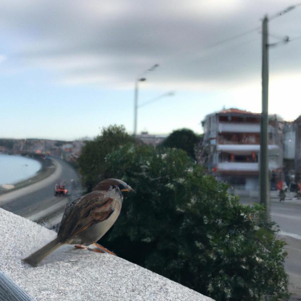 Ruyada Kusun Oldugunu Gormek