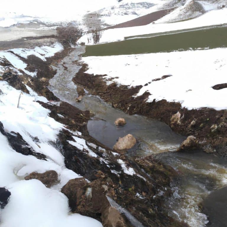 Ruyada Kuzenini Gormek