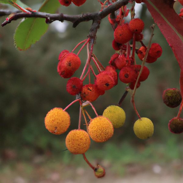 Ruyada Lacivert Renk Gormek