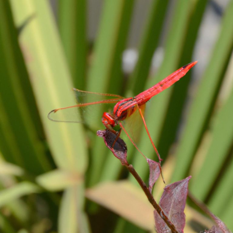Ruyada Leylek Gormek