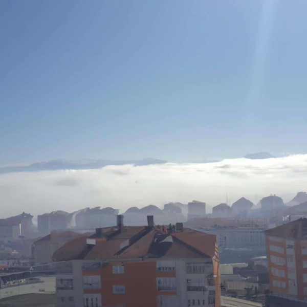 Ruyada Maydanoz Gormek