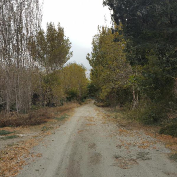 Ruyada Memlekete Gitmek