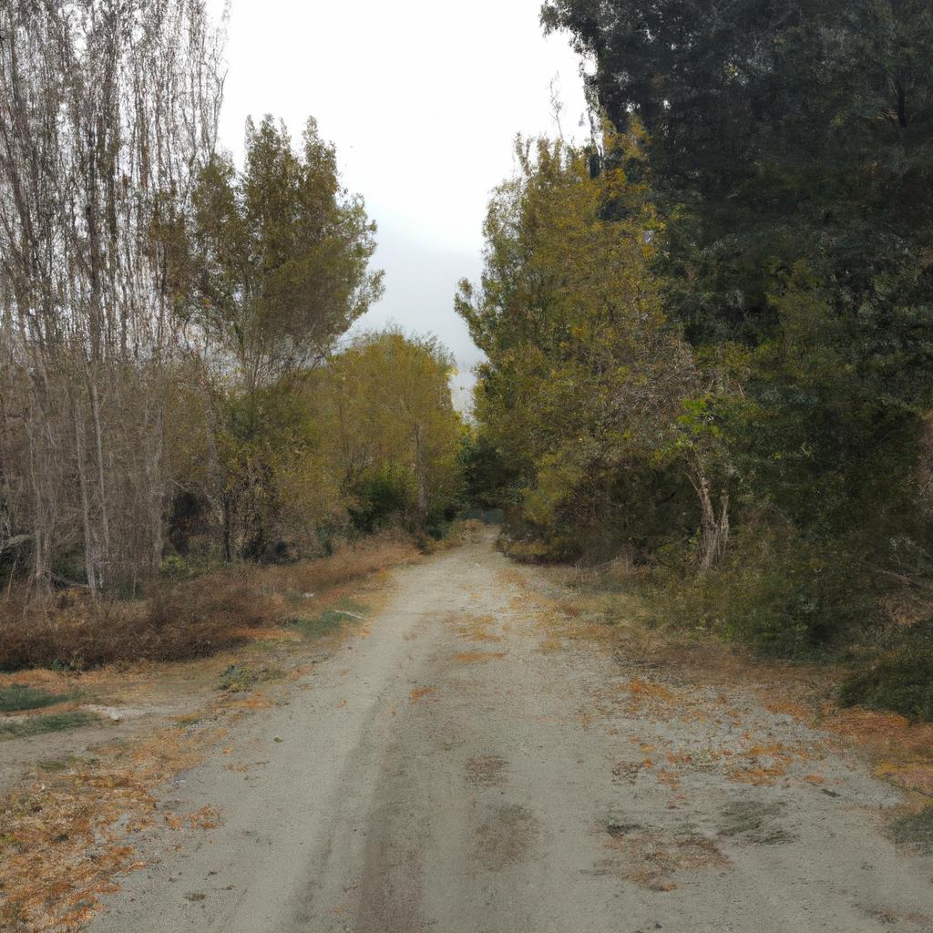 Ruyada Memlekete Gitmek