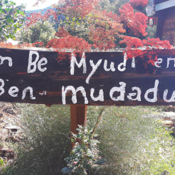 Ruyada Mesaj Gelmesi