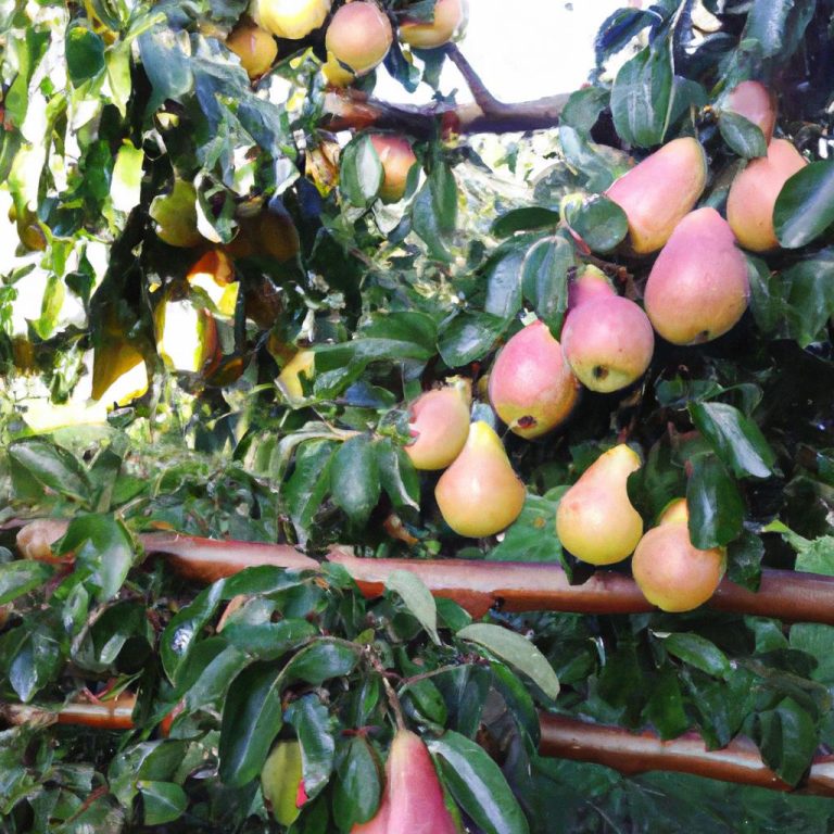 Ruyada Meyve Gormek 9