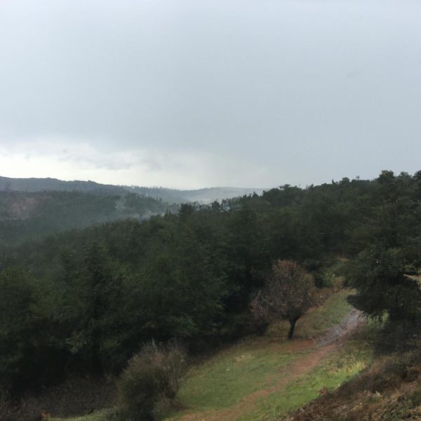 Ruyada Mezara Gitmek