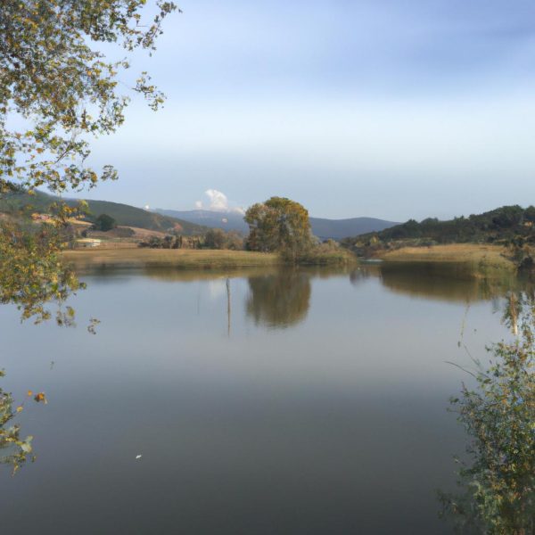 Ruyada Misafir Olmak