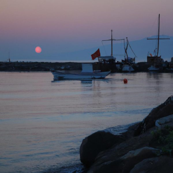 Ruyada Mor Yilan Gormek