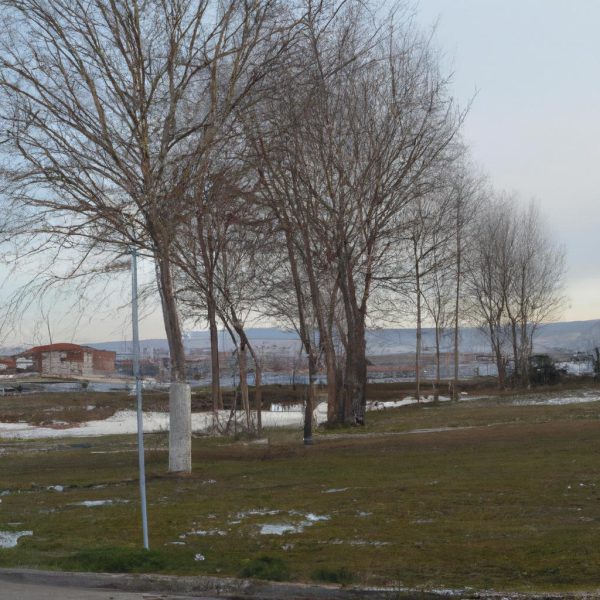 Ruyada Murdum Erigi Gormek