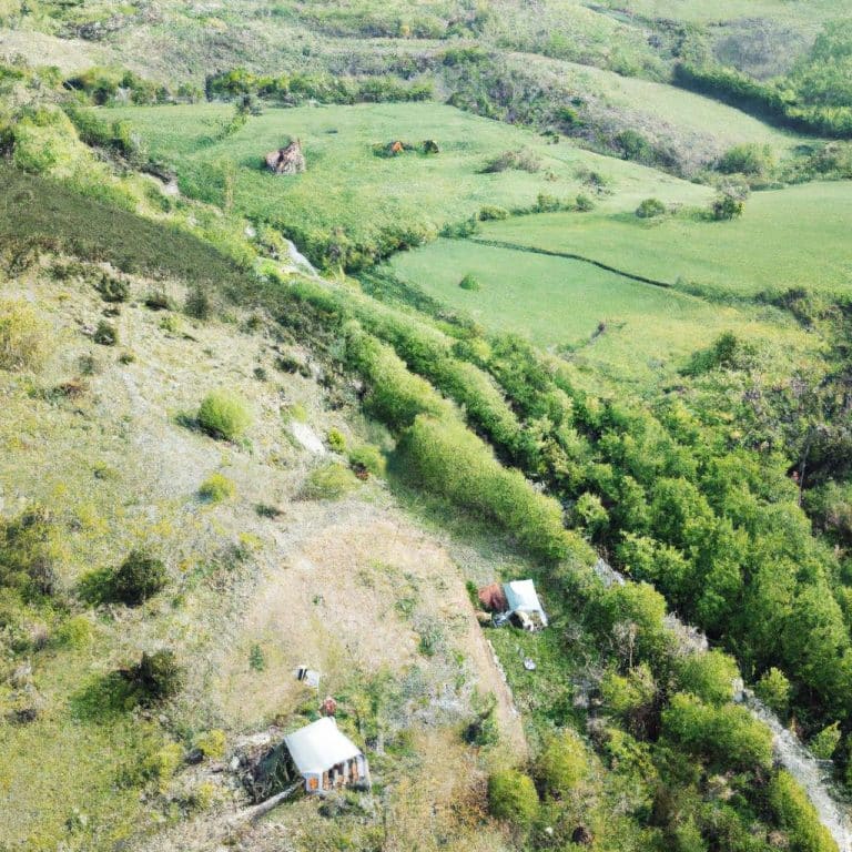 Ruyada Odun Toplamak