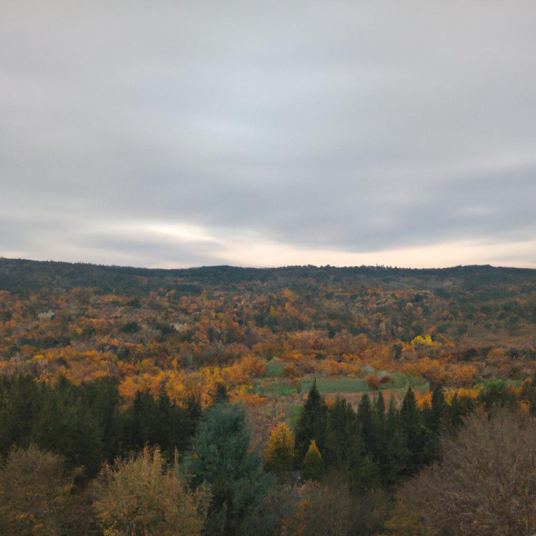Ruyada Oglu Oldugunu Gormek Diyadinnet