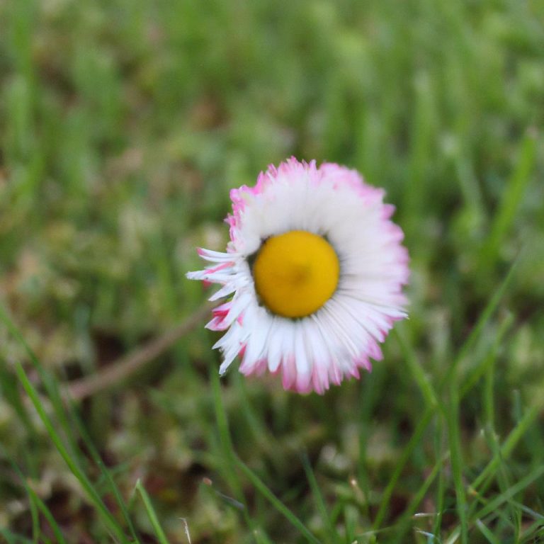 Ruyada Oglumun Oldugunu Gormek