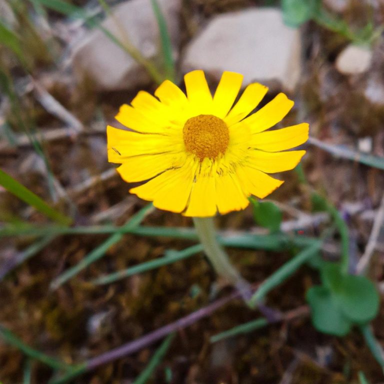 Ruyada Oglunun Agladigini Gormek
