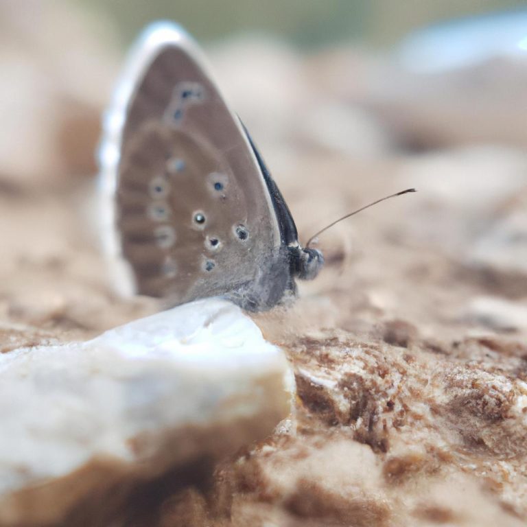 Ruyada Oglunun Kucuklugunu Gormek