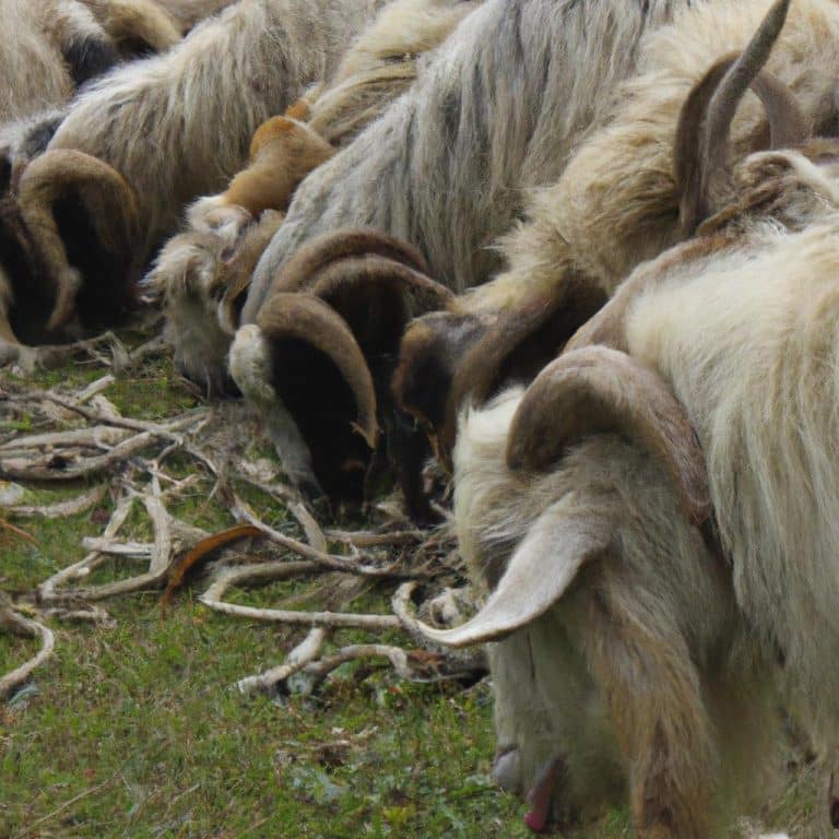 Ruyada Ogrenci Gormek