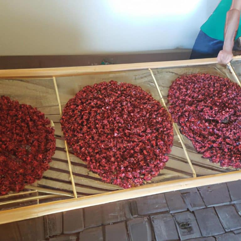 Ruyada Ogretmenle Konusmak