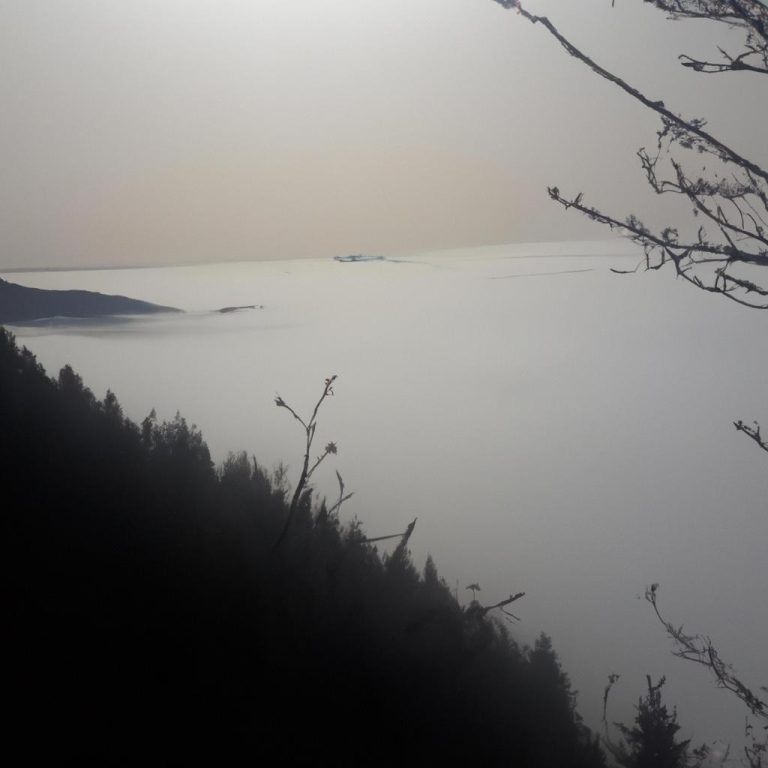 Ruyada Okyanusta Yuzmek