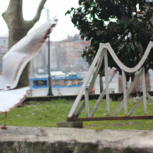 Ruyada Oldugunu Gormek Ama Olmemek