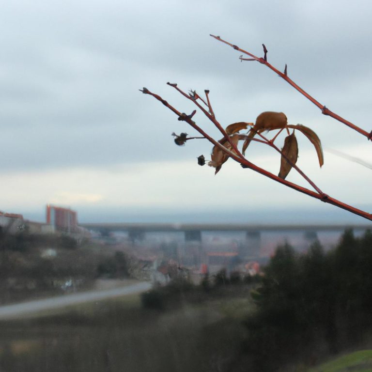 Ruyada Oldurulmeye Calismak