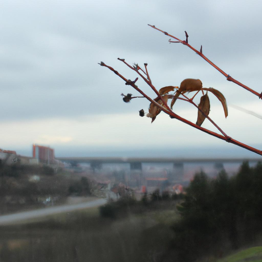 Ruyada Oldurulmeye Calismak