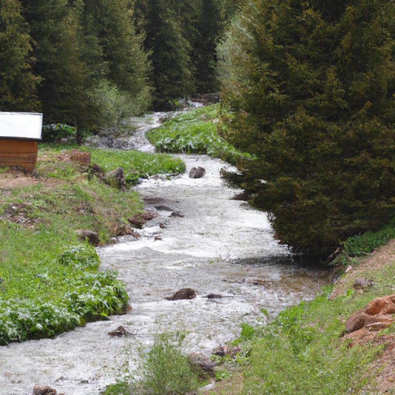 Ruyada Olen Amcayi Gormek