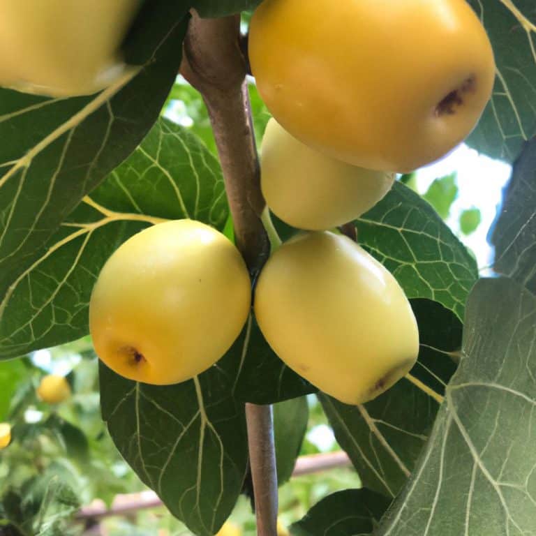 Ruyada Olen Birine Sarilmak