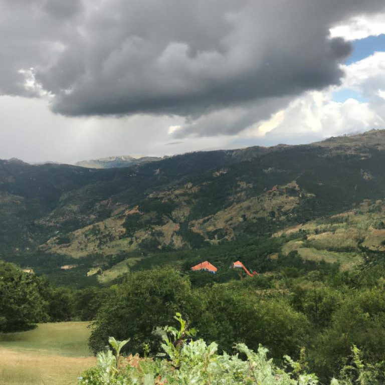 Ruyada Olen Birinin Dirilmesi