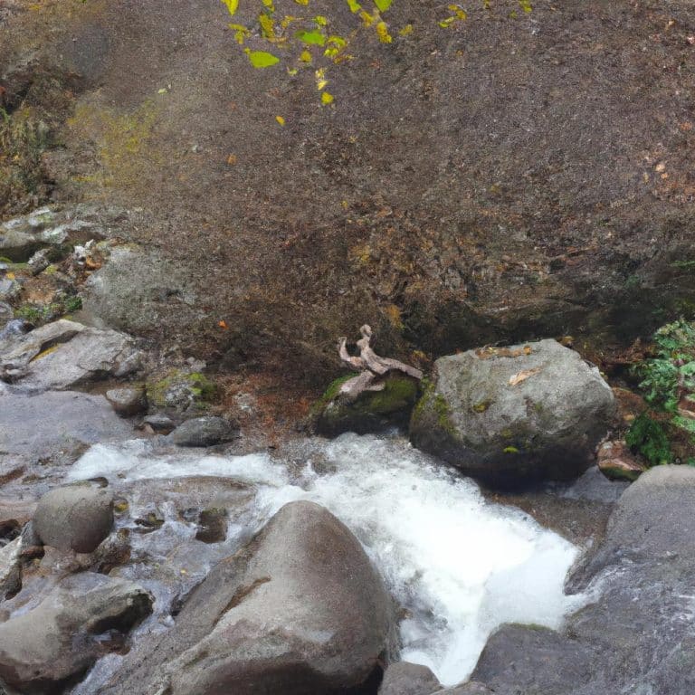 Ruyada Olen Esini Gormek