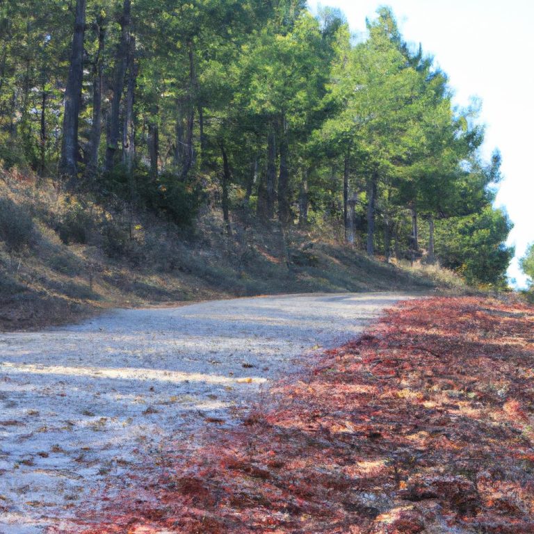 Ruyada Olen Kisinin Dirilmesi