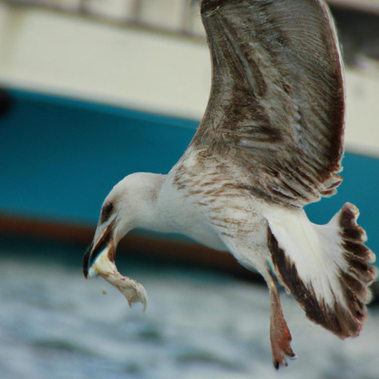 Ruyada Olmus Anneanneyi Gormek