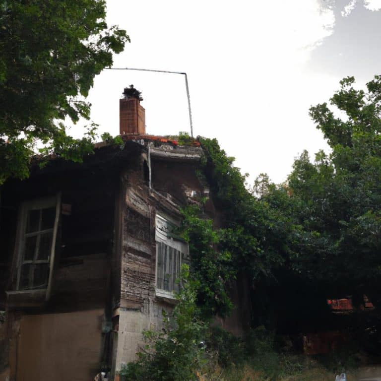 Ruyada Olmus Anneyi Evde Gormek