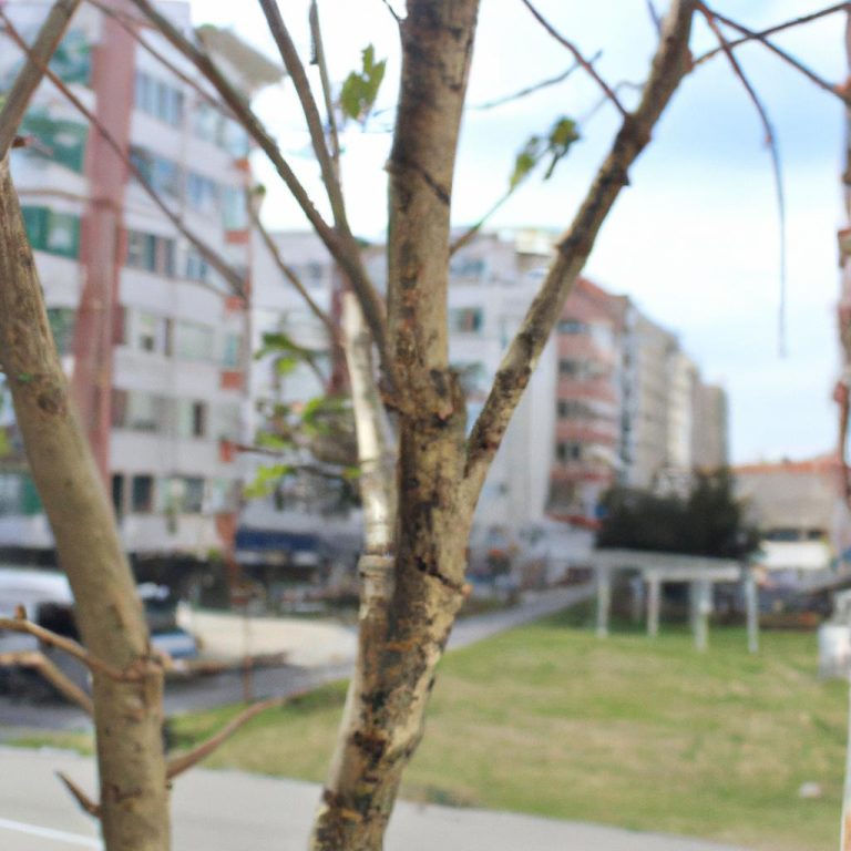 Ruyada Olmus Anneyle Konusmak