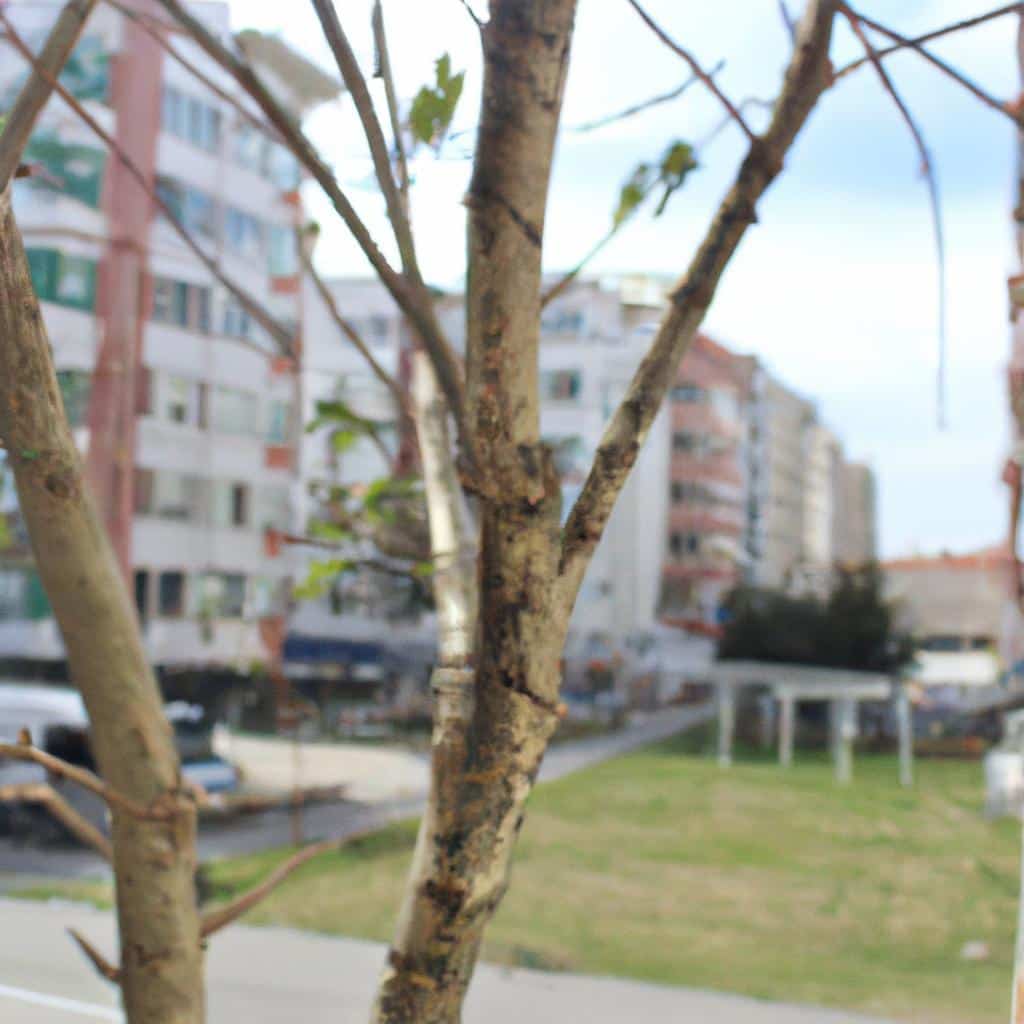 Ruyada Olmus Anneyle Konusmak