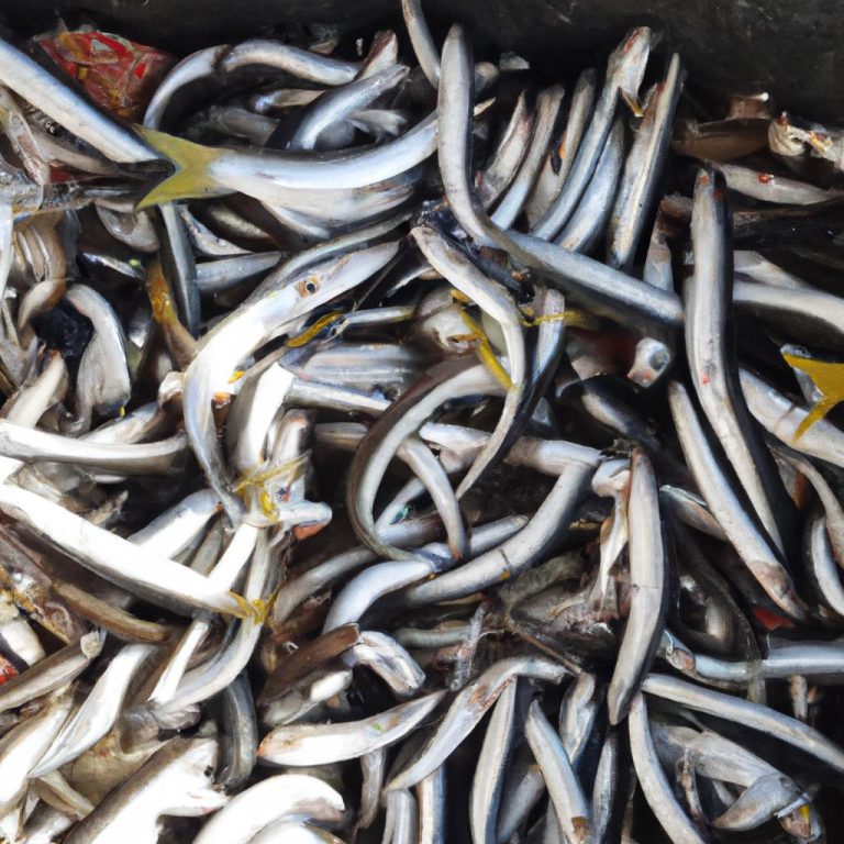 Ruyada Olmus Balik Gormek