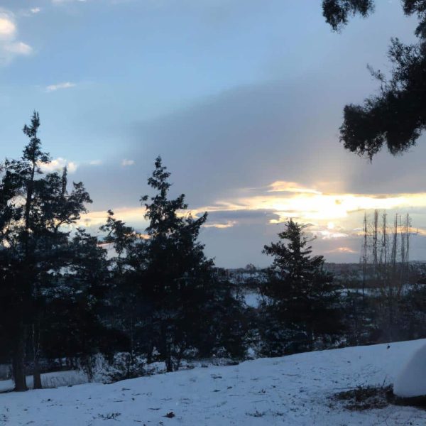 Ruyada Olmus Birinden Para Almak