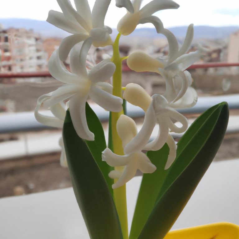 Ruyada Olmus Birinin Canli Gorup Elini Opmek