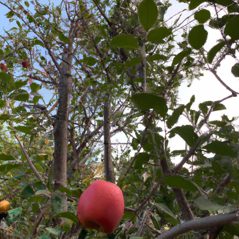 Ruyada Olmus Birinin Dirildigini Gormek