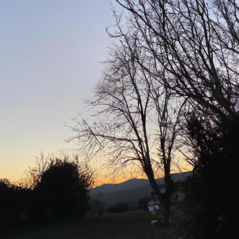 Ruyada Olmus Birinin Eve Misafir Olarak Gelmesi