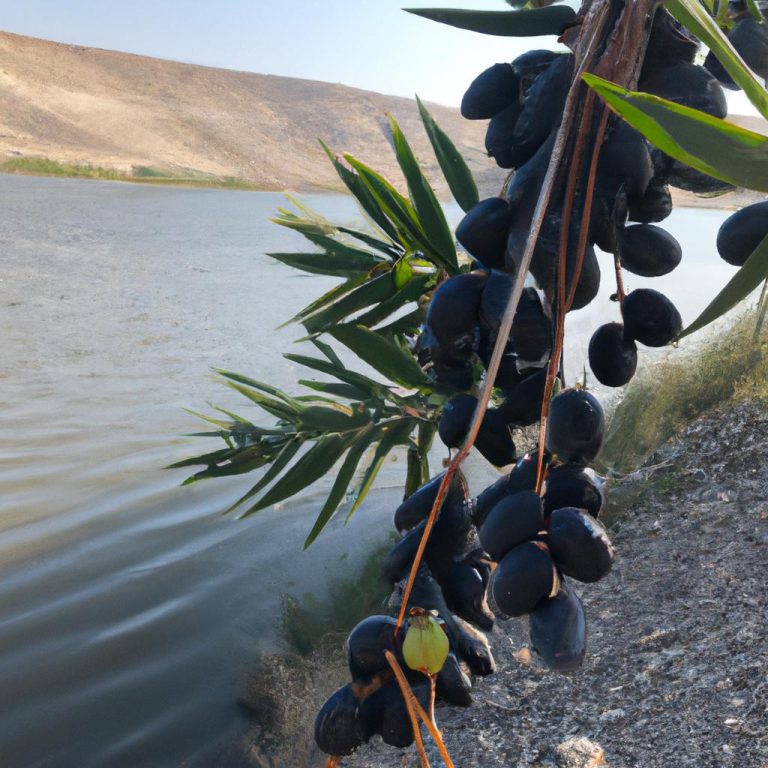 Ruyada Olmus Birisini Gormek 1