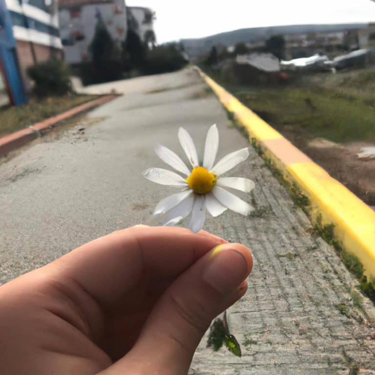 Ruyada Olmus Esini Gormek