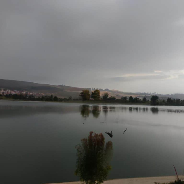 Ruyada Olmus Fare Gormek