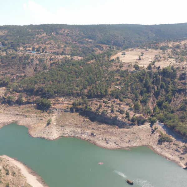 Ruyada Olmus Kayinpeder Gormek