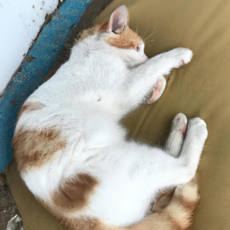 Ruyada Olmus Kocayi Canli Gormek