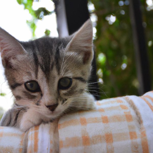 Ruyada Olmus Neneyi Gormek