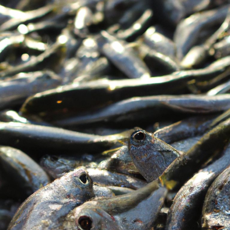 Ruyada Oltayla Balik Tutmak