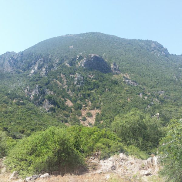 Ruyada Olu Babani Gormek