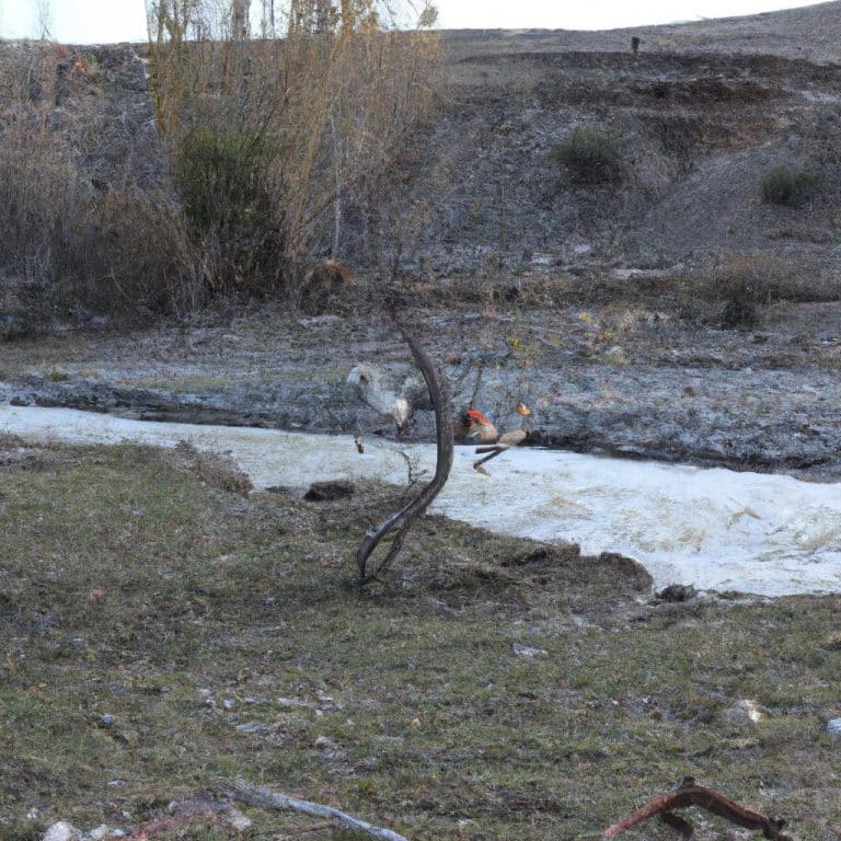 Ruyada Olu Birini Canli Gormek